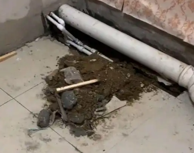 南票卫生间漏水检测哪家好